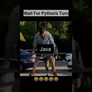 Wait For Python S Turn Coding Meme Programming Meme Python Memes VastCoding