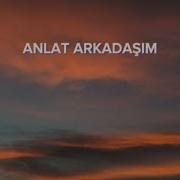 Ekolses Anlat Arkadaşım V10