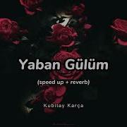 Yaban Gülüm Speed Up Reverb Kubilay Karça