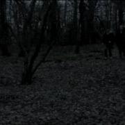 AS Media Coursework Film Opening Sequence Revenge Of The Lost