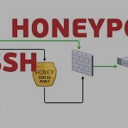 SSH Honeypot Защита SSH от брутфорса UnixHost
