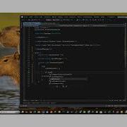How To Display An Error Message And Exception In Blazor Web App