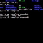 How To Copy All Files And Subdirectories In Linux