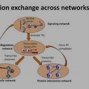 MIT CompBio Lecture 11 Network Analysis