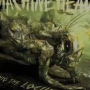 Machine Head Darkness Within Acoustic Cover Machine Head Darkness Within Acoustic Version