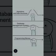 Every Programmer Can Relate Programming Memes Shorts