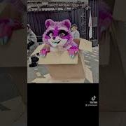 Do They Care If You Break The Magic Furryfandom Fursuit Fursuiter Furryconvention