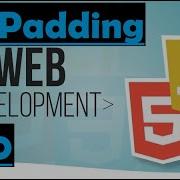 CSS Beginner To Pro 10 Padding Property
