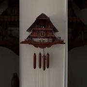 RARE Cuckoo Clock Collection 2 Music Box German Hand Made Schneider 8TMT 1848 LIMITED EDITION