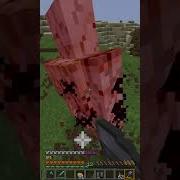 How To Elytra Mace Minecraft Minecraftshorts