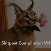 Shitpost Compilation V11 DTH
