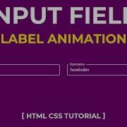 CSS Input Field Label Animation CSS Only Floating Label