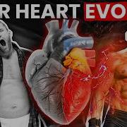Your Heart Is A Muscle This Is How It Adapts To Exercise