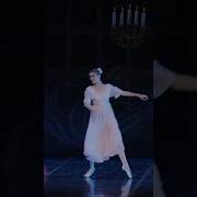 The Russian Ballet The Nutcracker