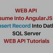 WEB API Post AngularJS To Insert Record Asp Net C 4 6