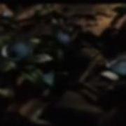 Whisper Origin Evanescence Video Fanmade