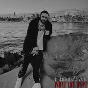 BEARDED LEGEND WHAT YOU WANT PROD SLVG