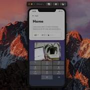 React Native Phone Input