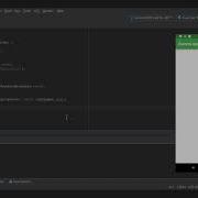 19 Radio Widget In Flutter