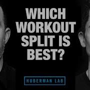 Which Workout Split Is Best Ft Huberman Lab Podcast