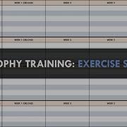 Creating A Hypertrophy Training Program Part 3 Exercise Selection