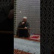 Oy Gülüm Muziksiz Mfo