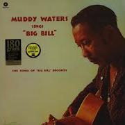 Muddy Waters Muddy Waters Sings Big Bill Remastered 2016