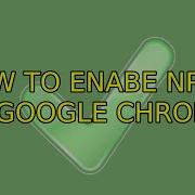 How To Enabe NPAPI On Google Chrome