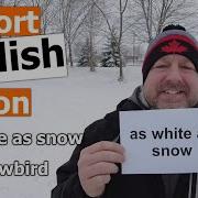 Learn The English Phrases AS WHITE AS SNOW And SNOWBIRD