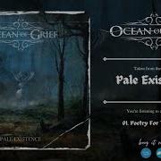 OCEAN OF GRIEF Pale Existence 2023 Album Teaser