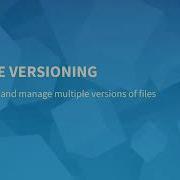 Document Management File Versioning
