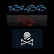 S3R43o3 TryHackMe Basic Malware RE Walkthrough
