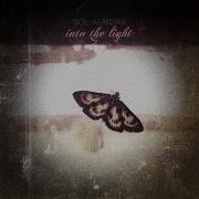Into The Light