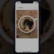 Animated Search View In React Native