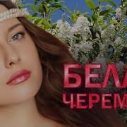 БЕЛАЯ ЧЕРЕМУХА ХИТЫ ШАНСОНА ДЛЯ ТАНЦПОЛА WLV ПЕСНЯ ЗАЖИГАЛКА RUSSISCHE MUSIK RUSSIAN MUSIC HIT