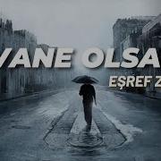 EŞREF ZİYA DİVANE OLSAM