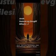 Mevlana Celaleddin Rumi Artık Sustum Ey Sevgili