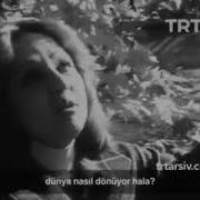 Sibel Egemen Hayret