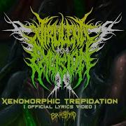 VIRULENT EXCISION Xenomorphic Trepidation Official Lyrics Video BRUTAL MIND