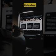Coding Life WhatsApp Status Coding Lover Codinglife Programming