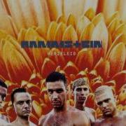 Rammstein Weißes Fleisch