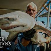 Jeremy Wade A Caccia Del Fitzroy Lo Squalo Nel Fiume Più PERICOLOSO DEL MONDO
