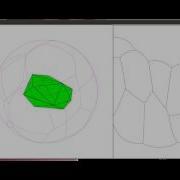 GJK Fast Support Index For 3d Polygons
