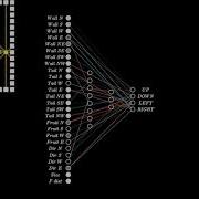 Visualizing The NEAT Algorithm 2 How The AI Works Inputs And The Neural Network