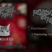 Rigidity Spinal Deformity Polytraumatic Explorations MC FULL ALBUM 2026 Goregrind