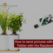 How To Send Pictures With Node RED To Twitter With The Raspberry Pi Camera