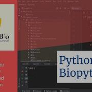 Global And Local Pair Wise Sequence Alignment In BioPython 1 LifeGenBio