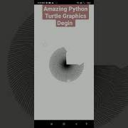 Amazing Python Turtle Graphics Degin Nakulpasicoding Short Pythonturtlegraphics Viral Coding