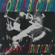 Gorilla Biscuits Degradation