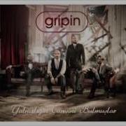 Gripin Gül Güzeli